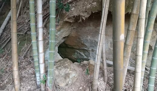 佐倉市飯重609開発計画について