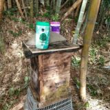 養蜂巣箱仕上げ及び設置