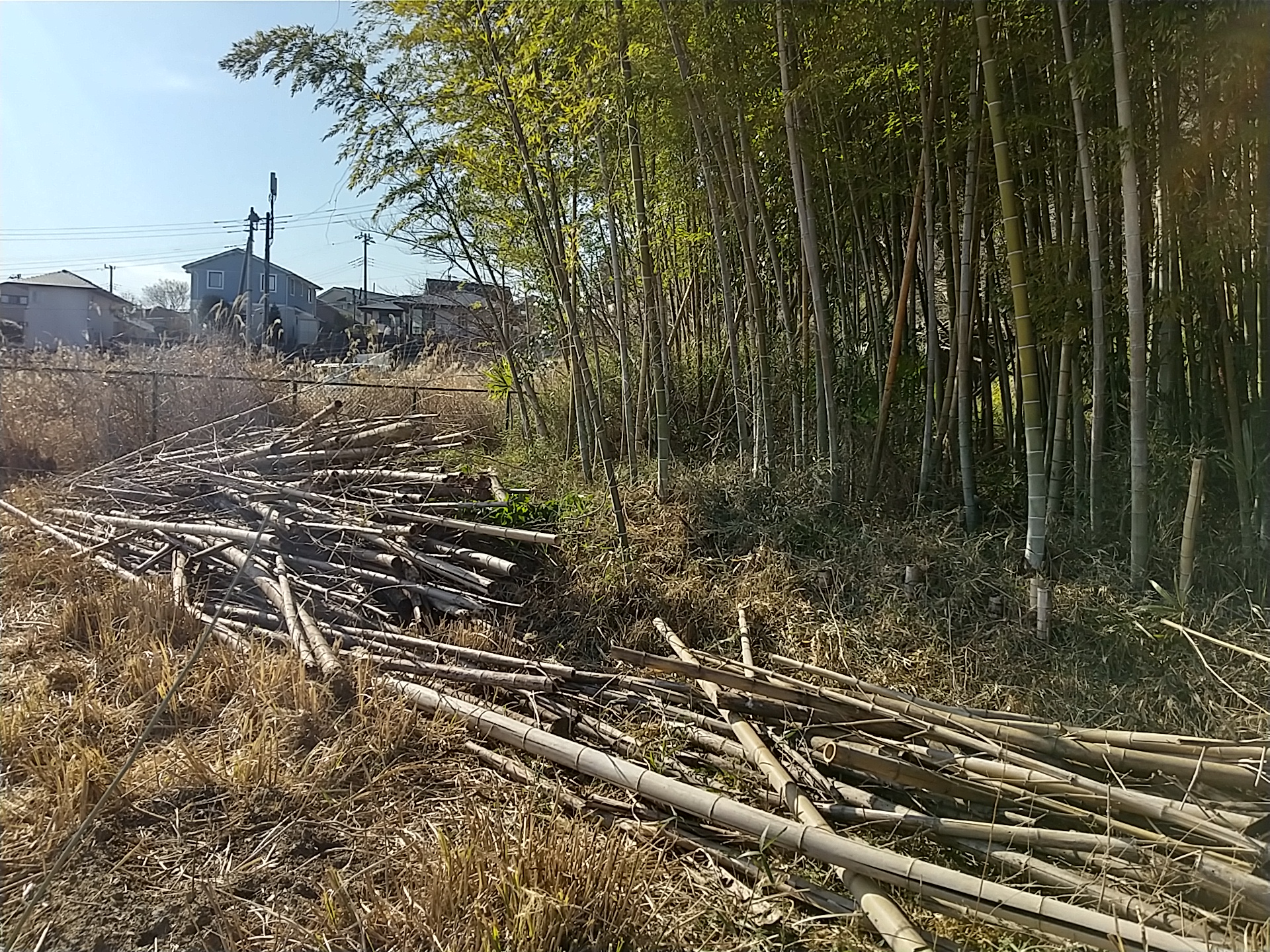 プロフィール背景画像